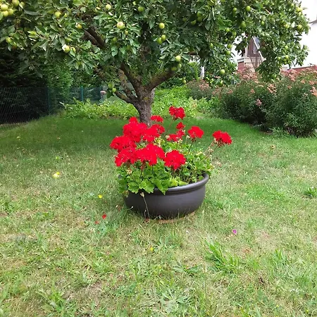 منزل للإقامة Fewo's Birkenweg Ostseebad *